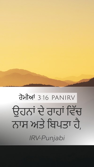 ਰੋਮੀਆਂ 3:16 PANIRV Bible Verse Image