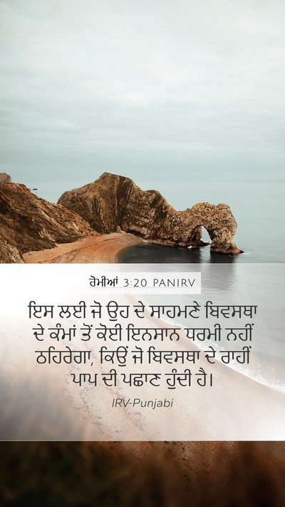 ਰੋਮੀਆਂ 3:20 PANIRV Bible Verse Image
