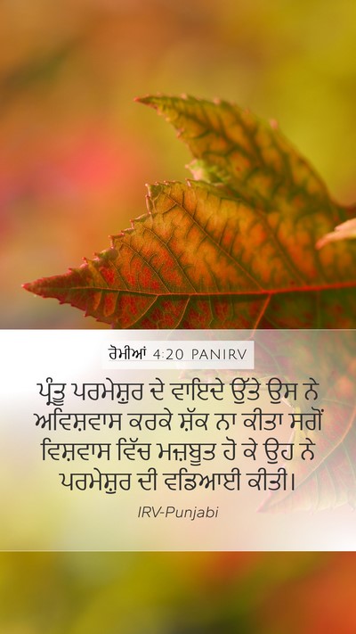 ਰੋਮੀਆਂ 4:20 PANIRV Bible Verse Image