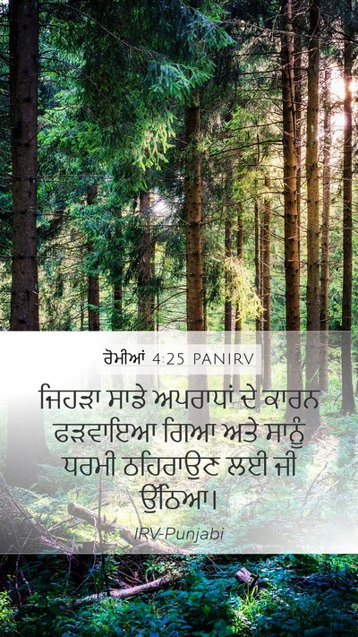 ਰੋਮੀਆਂ 4:25 PANIRV Bible Verse Image
