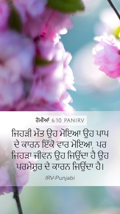 ਰੋਮੀਆਂ 6:10 PANIRV Bible Verse Image