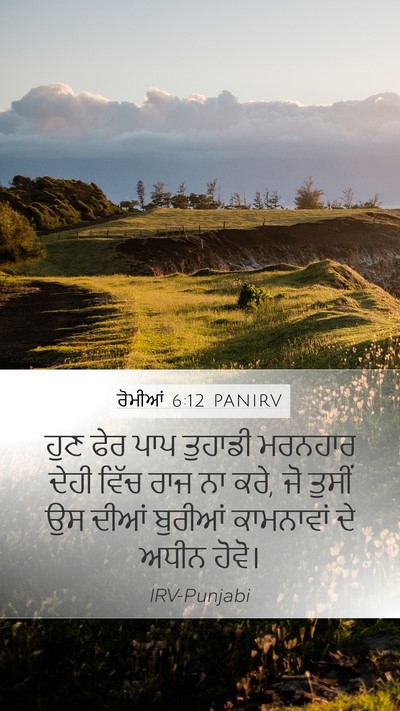 ਰੋਮੀਆਂ 6:12 PANIRV Bible Verse Image