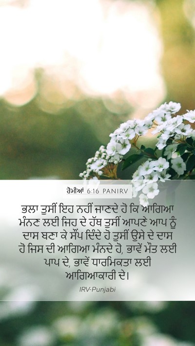 ਰੋਮੀਆਂ 6:16 PANIRV Bible Verse Image