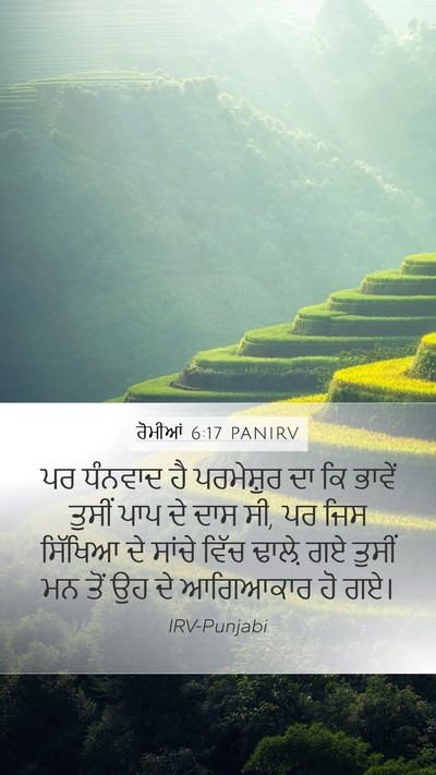 ਰੋਮੀਆਂ 6:17 PANIRV Bible Verse Image