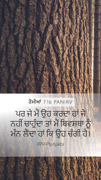 ਰੋਮੀਆਂ 7:16 PANIRV Bible Verse Image