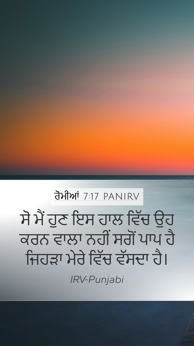 ਰੋਮੀਆਂ 7:17 PANIRV Bible Verse Image