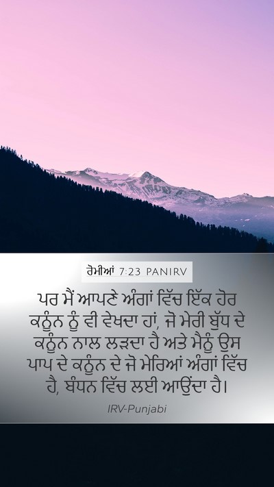 ਰੋਮੀਆਂ 7:23 PANIRV Bible Verse Image