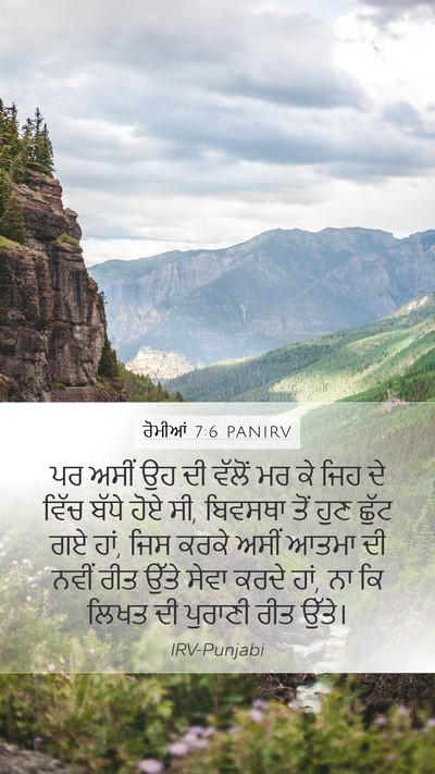 ਰੋਮੀਆਂ 7:6 PANIRV Bible Verse Image