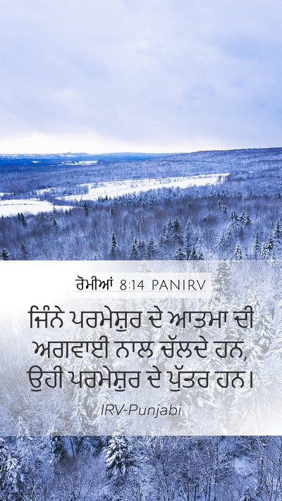 ਰੋਮੀਆਂ 8:14 PANIRV Bible Verse Image