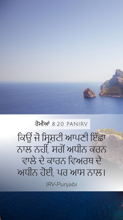 ਰੋਮੀਆਂ 8:20 PANIRV Bible Verse Image