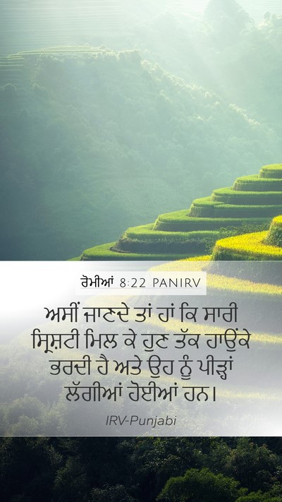 ਰੋਮੀਆਂ 8:22 PANIRV Bible Verse Image