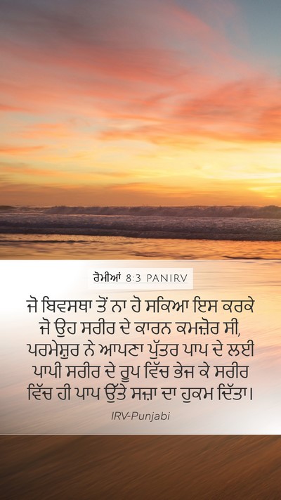 ਰੋਮੀਆਂ 8:3 PANIRV Bible Verse Image