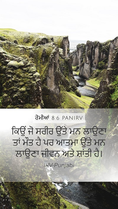 ਰੋਮੀਆਂ 8:6 PANIRV Bible Verse Image