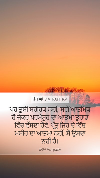 ਰੋਮੀਆਂ 8:9 PANIRV Bible Verse Image