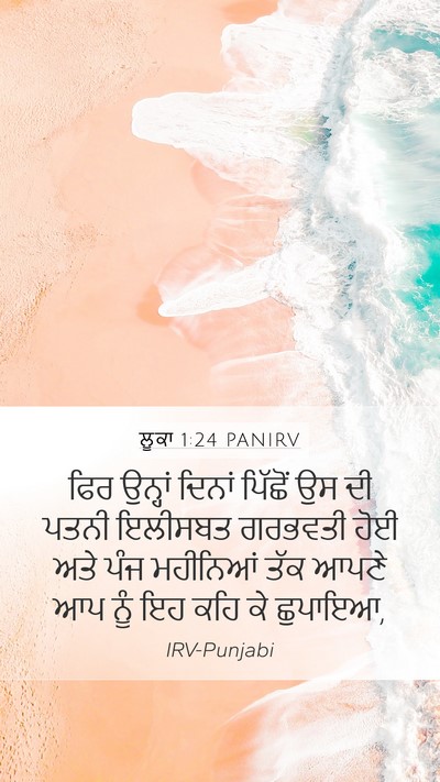 ਲੂਕਾ 1:24 PANIRV Bible Verse Image