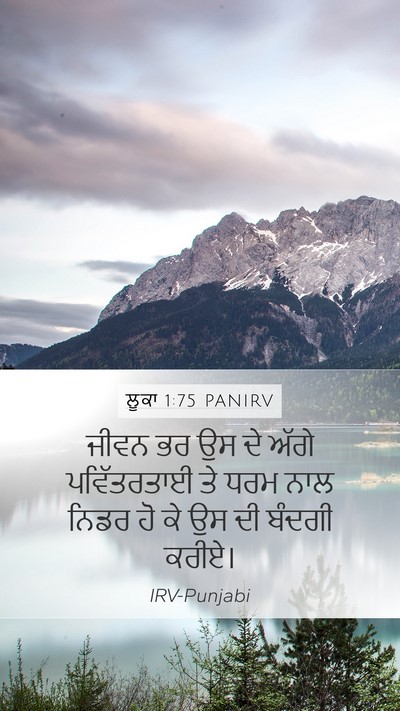 ਲੂਕਾ 1:75 PANIRV Bible Verse Image