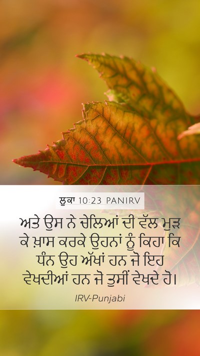 ਲੂਕਾ 10:23 PANIRV Bible Verse Image