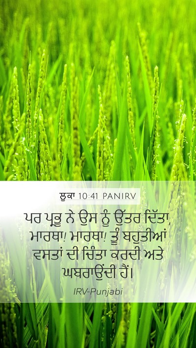 ਲੂਕਾ 10:41 PANIRV Mobile Phone Wallpaper - ਪਰ ਪ੍ਰਭੂ ਨੇ ਉਸ ਨੂੰ - Mobile Bible Verse Wallpaper