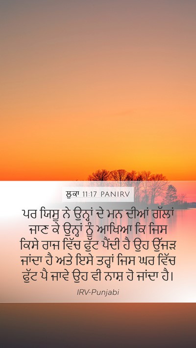 ਲੂਕਾ 11:17 PANIRV Bible Verse Image