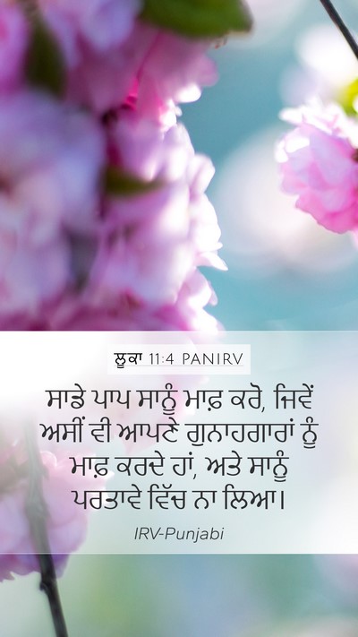 ਲੂਕਾ 11:4 PANIRV Bible Verse Image