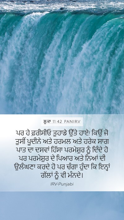 ਲੂਕਾ 11:42 PANIRV Bible Verse Image