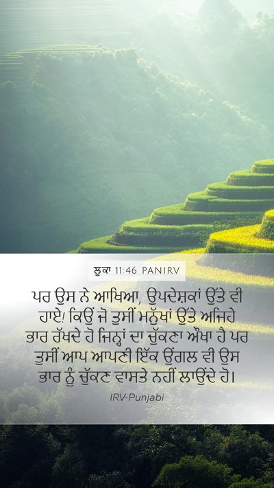 ਲੂਕਾ 11:46 PANIRV Bible Verse Image
