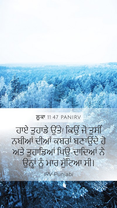 ਲੂਕਾ 11:47 PANIRV Bible Verse Image