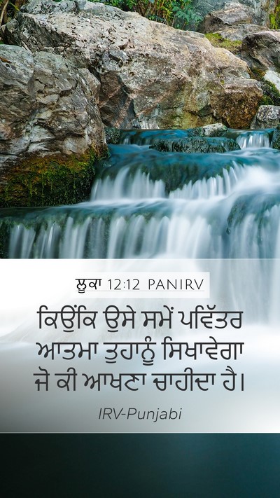 ਲੂਕਾ 12:12 PANIRV Bible Verse Image