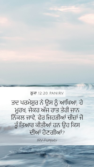 ਲੂਕਾ 12:20 PANIRV Bible Verse Image