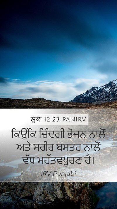 ਲੂਕਾ 12:23 PANIRV Mobile Phone Wallpaper - ਕਿਉਂਕਿ ਜ਼ਿੰਦਗੀ - Mobile Bible Verse Wallpaper