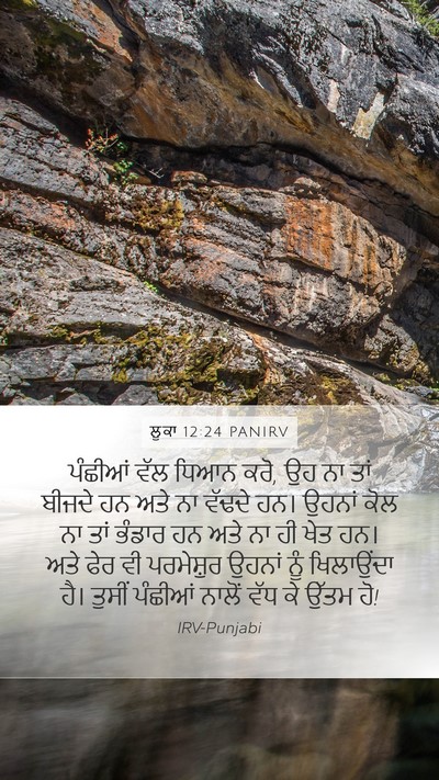 ਲੂਕਾ 12:24 PANIRV Bible Verse Image