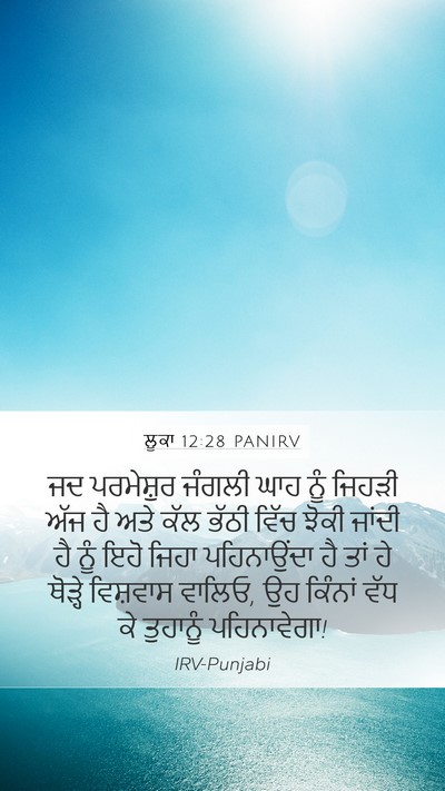 ਲੂਕਾ 12:28 PANIRV Bible Verse Image