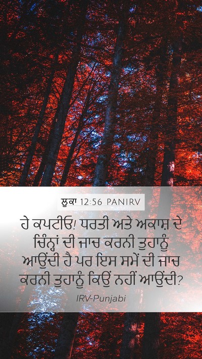 ਲੂਕਾ 12:56 PANIRV Bible Verse Image