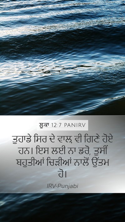 ਲੂਕਾ 12:7 PANIRV Mobile Phone Wallpaper - ਤੁਹਾਡੇ ਸਿਰ ਦੇ ਵਾਲ਼ - Mobile Bible Verse Wallpaper
