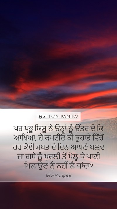 ਲੂਕਾ 13:15 PANIRV Bible Verse Image