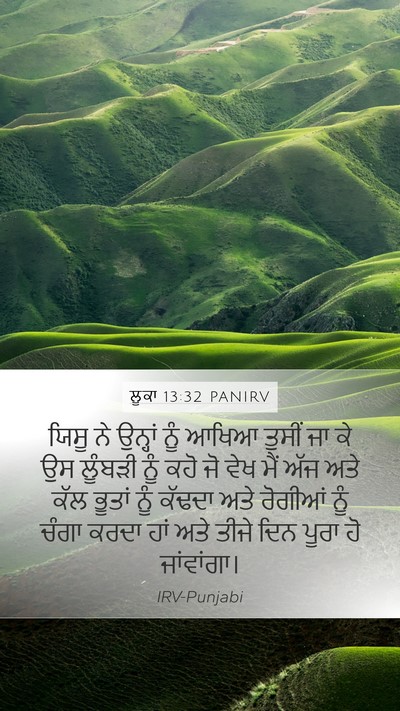 ਲੂਕਾ 13:32 PANIRV Bible Verse Image