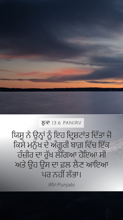 ਲੂਕਾ 13:6 PANIRV Bible Verse Image