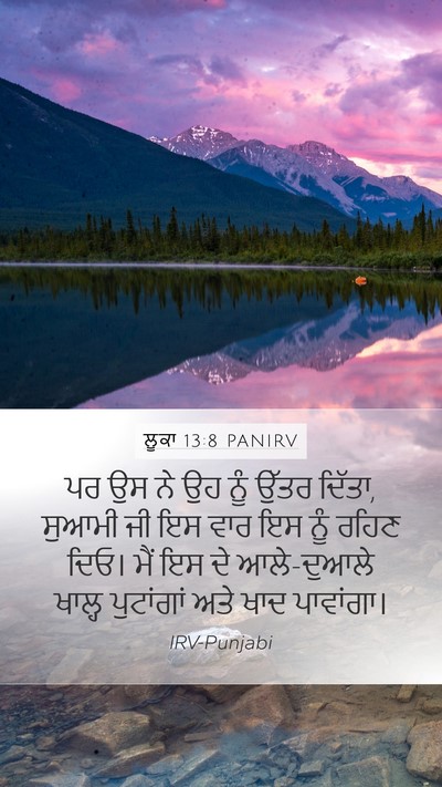 ਲੂਕਾ 13:8 PANIRV Mobile Phone Wallpaper - ਪਰ ਉਸ ਨੇ ਉਹ ਨੂੰ - Mobile Bible Verse Wallpaper