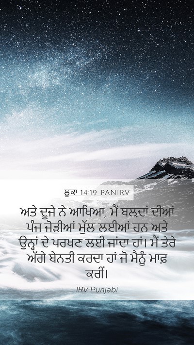 ਲੂਕਾ 14:19 PANIRV Mobile Phone Wallpaper - ਅਤੇ ਦੂਜੇ ਨੇ ਆਖਿਆ, - Mobile Bible Verse Wallpaper