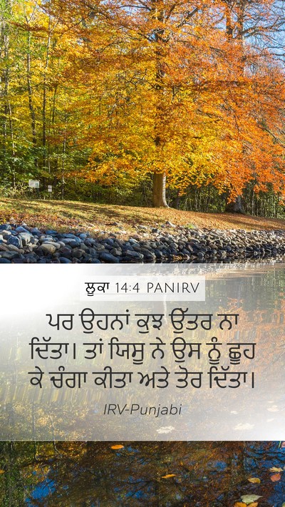 ਲੂਕਾ 14:4 PANIRV Mobile Phone Wallpaper - ਪਰ ਉਹਨਾਂ ਕੁਝ ਉੱਤਰ - Mobile Bible Verse Wallpaper
