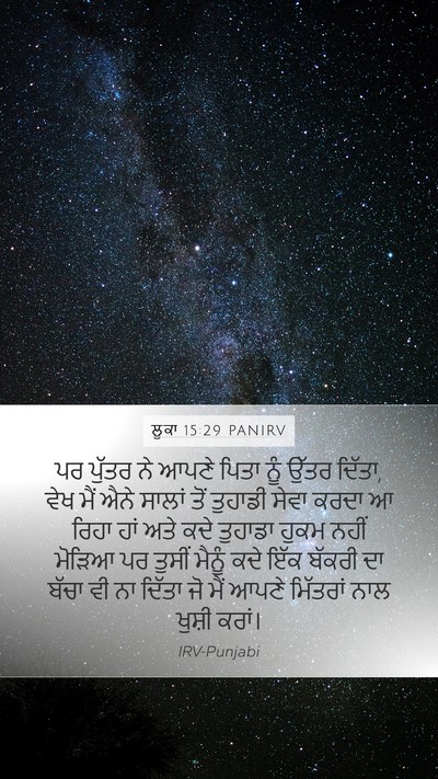 ਲੂਕਾ 15:29 PANIRV Bible Verse Image