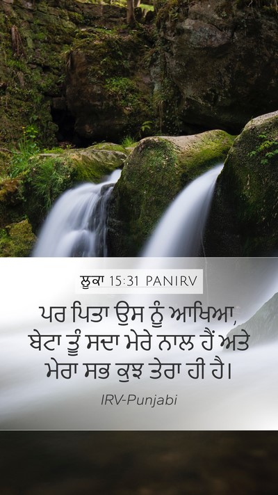 ਲੂਕਾ 15:31 PANIRV Bible Verse Image
