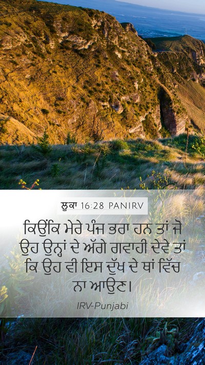 ਲੂਕਾ 16:28 PANIRV Bible Verse Image
