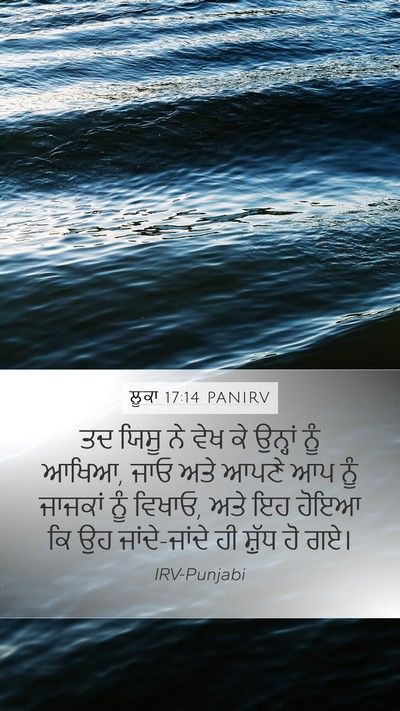 ਲੂਕਾ 17:14 PANIRV Bible Verse Image