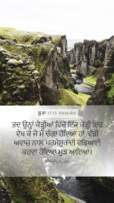 ਲੂਕਾ 17:15 PANIRV Bible Verse Image