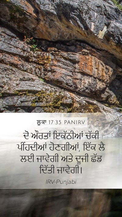 ਲੂਕਾ 17:35 PANIRV Bible Verse Image
