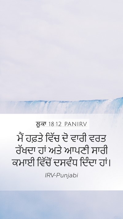 ਲੂਕਾ 18:12 PANIRV Bible Verse Image