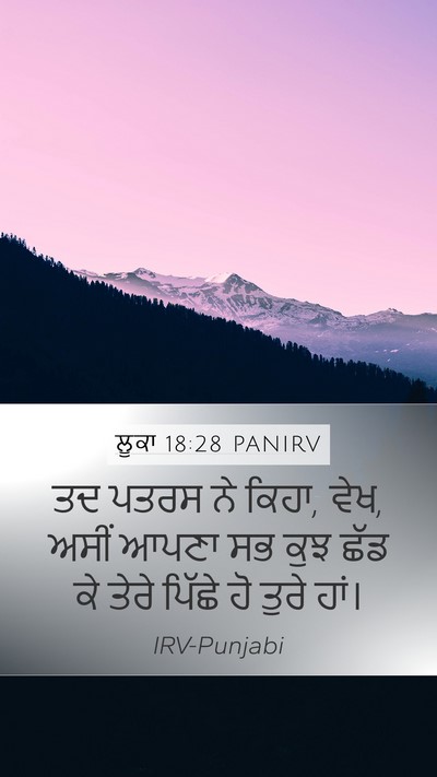ਲੂਕਾ 18:28 PANIRV Bible Verse Image