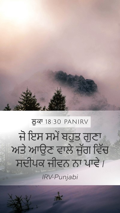 ਲੂਕਾ 18:30 PANIRV Bible Verse Image