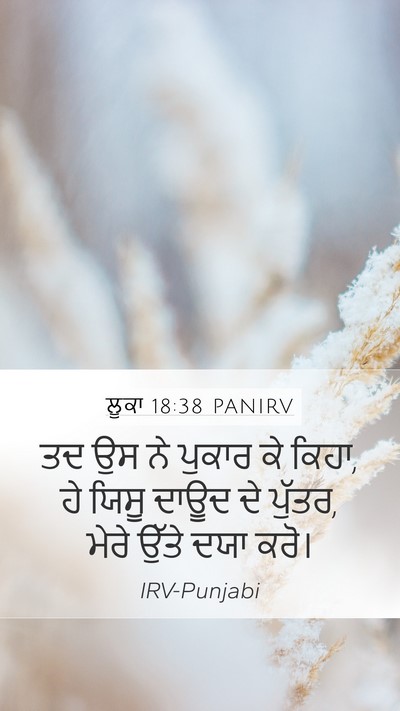 ਲੂਕਾ 18:38 PANIRV Bible Verse Image